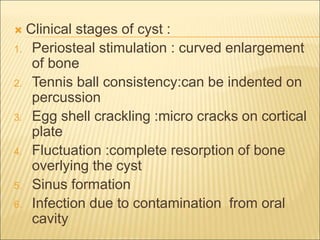  Clinical stages of cyst : 
1. Periosteal stimulation : curved enlargement 
of bone 
2. Tennis ball consistency:can be indented on 
percussion 
3. Egg shell crackling :micro cracks on cortical 
plate 
4. Fluctuation :complete resorption of bone 
overlying the cyst 
5. Sinus formation 
6. Infection due to contamination from oral 
cavity 
 