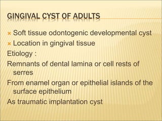GINGIVAL CYST OF ADULTS 
 Soft tissue odontogenic developmental cyst 
 Location in gingival tissue 
Etiology : 
Remnants of dental lamina or cell rests of 
serres 
From enamel organ or epithelial islands of the 
surface epithelium 
As traumatic implantation cyst 
 