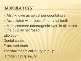 RADICULAR CYST 
 Also known as apical periodontal cyst 
 Associated with roots of non-vital teeth 
 Most common odontogenic cyst .in all cases 
the pulp iis necrosed 
Etiology- 
Dental caries 
Fractured tooth 
Thermal /chemical injury to pulp 
Iatrogenic pulp injury 
 