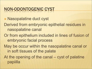 NON-ODONTOGENIC CYST 
 Nasopalatine duct cyst 
Derived from embryonic epithelial residues in 
nasopalatine canal 
Or from epithelium included in lines of fusion of 
embryonic facial process 
May be occur within the nasopalatine canal or 
in soft tissues of the palate 
At the opening of the canal – cyst of palatine 
papiilla 
 
