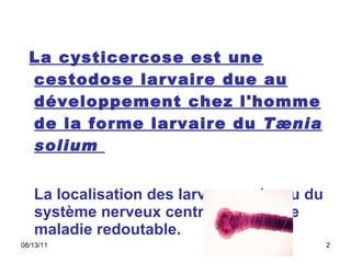     La cysticercose est une cestodose larvaire due au développement chez l'homme de la forme larvaire du  Tænia solium   La localisation des larves au niveau du système nerveux central en fait une maladie redoutable.  