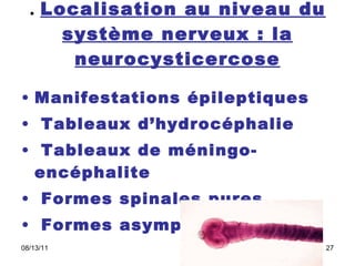 .  Localisation au niveau du système nerveux : la neurocysticercose Manifestations épileptiques   Tableaux d’hydrocéphalie   Tableaux de méningo-encéphalite   Formes spinales pures    Formes asymptomatiques   