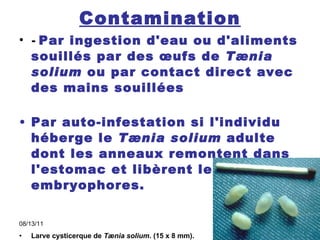 Contamination -  Par ingestion d'eau ou d'aliments souillés par des œufs de  Tænia solium  ou par contact direct avec des mains souillées Par auto-infestation si l'individu héberge le  Tænia solium  adulte dont les anneaux remontent dans l'estomac et libèrent les embryophores. Larve cysticerque de  Tænia solium . (15 x 8 mm). Photo:  Parasitologie-Mycologie. CHU Nice. P. Marty 