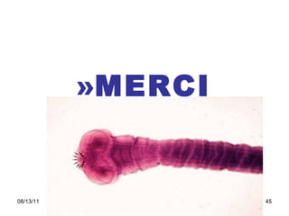 MERCI  