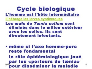 Cycle biologique L'homme est l'hôte intermédiaire   Il héberge les larves cysticerques   Les œufs de  Tænia solium  sont éliminés dans le milieu extérieur avec les selles. Ils sont directement infectants.   même si l’axe homme-porc reste fondamental le rôle épidémiologique joué par les «porteurs de tænia» pour disséminer la maladie (fondamentale) . 