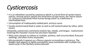 Cysticercosis
• It is an infestation caused by cysticercus which is a larval form of certain taenia
species. Among various species the larval form of tape worm, the Taenia solium
i.e. cysticercus cellulosae infest human beings either as a definitive or
intermediate host.
• Consumption of inadequately cooked pork- primary cause.
• Fecally contaminated food or water as well as self contamination by reflux- other
causes
Intraorally, cysticercosis commonly involves lips, cheeks, and tongue . Cysticercosis
involving the masseter muscle has also been reported
• Most cases present as solitary or multiple, painless, well circumscribed, fluctuant
swellings, and often mimic mucoceles.
• Microscopically it appears as a fibrous capsule surrounding a cysticercus. The
bladder wall appears as lightly eosinophilic wavy membrane with multiple tiny
ovoid nuclei in the fibrillary stroma beneath
 