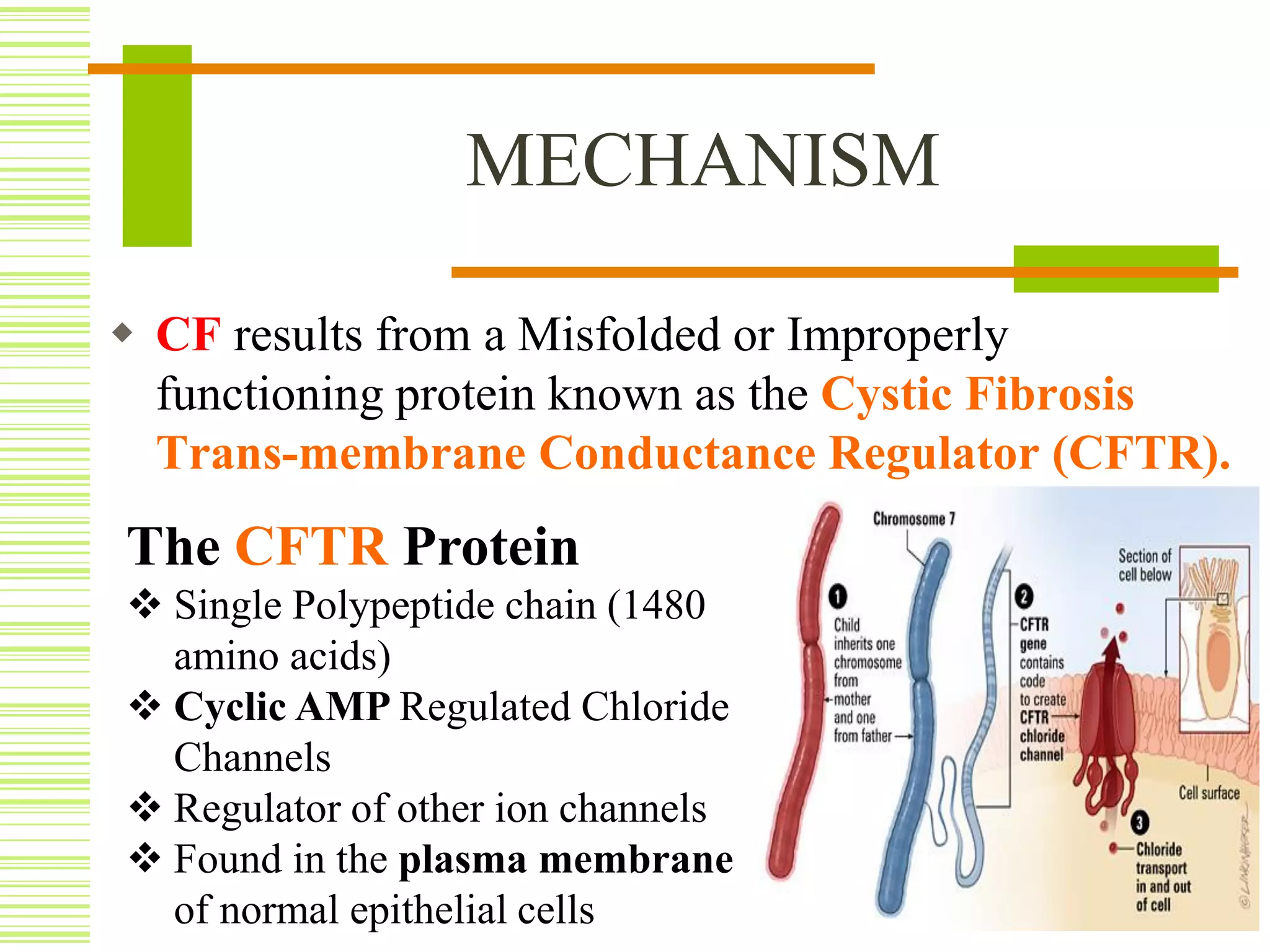 CYSTIC FIBROSIS | PDF
