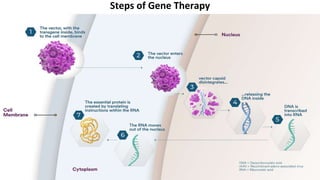 Gene therapy in the treatment of Cystic Fibrosis Dina Done.pptx