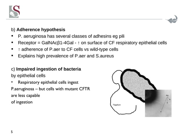 Cystic Fibrosis Infections | PPT