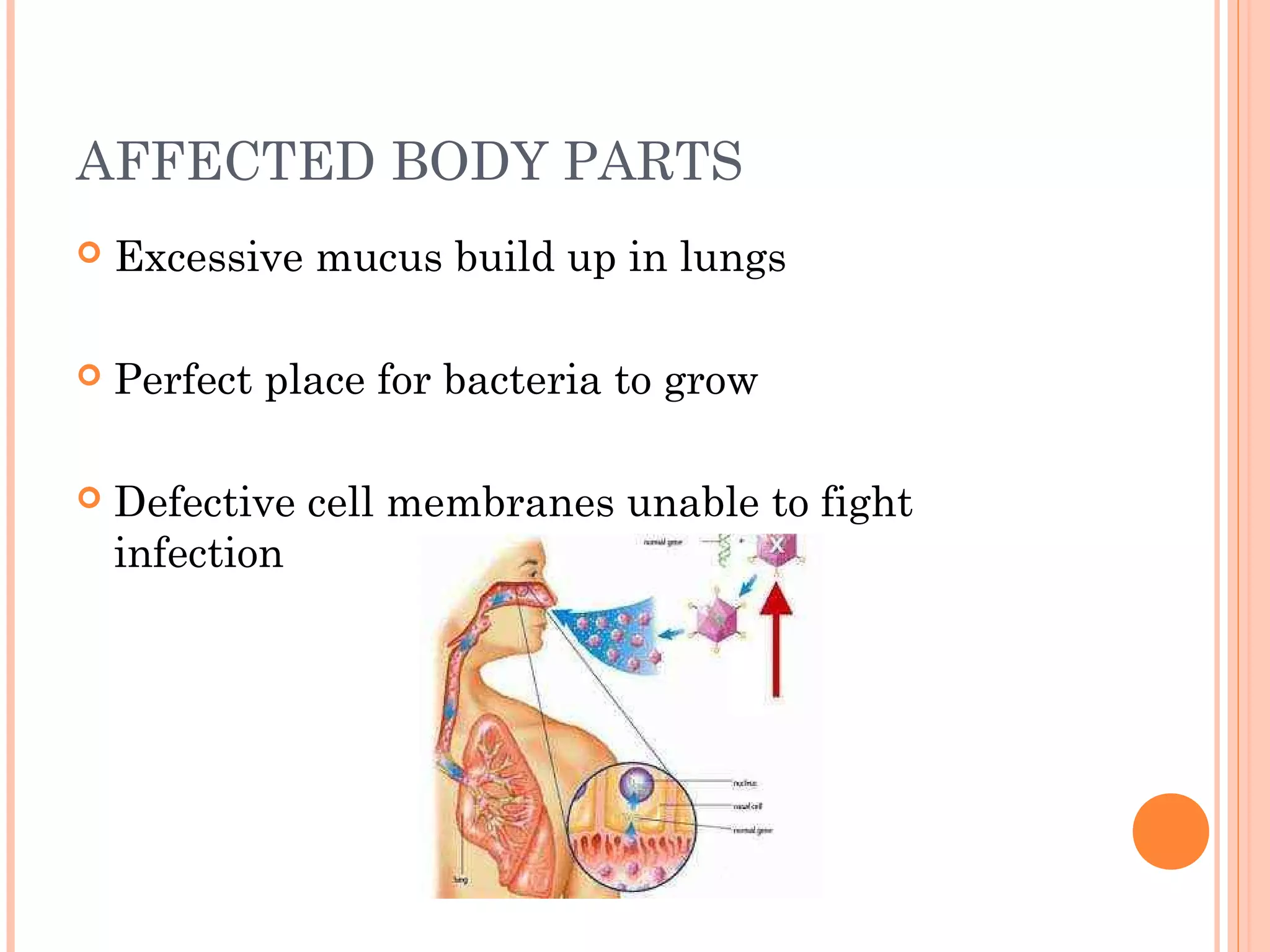 AFFECTED BODY PARTS
Excessive mucus build up in lungs
Perfect place for bacteria to grow
Defective cell membranes unable to fight
infection
