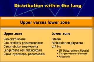 Distribution within the lung
 