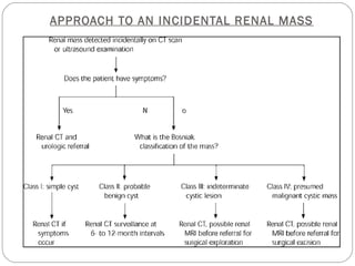 APPROACH TO AN INCIDENTAL RENAL MASS
 