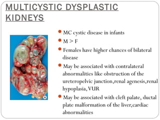MULTICYSTIC DYSPLASTIC
KIDNEYS
MC cystic disease in infants
M > F
Females have higher chances of bilateral
disease
May be associated with contralateral
abnormalities like obstruction of the
ureteropelvic junction,renal agenesis,renal
hypoplasia,VUR
May be associated with cleft palate, ductal
plate malformation of the liver,cardiac
abnormalities
 