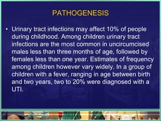 PATHOGENESIS 
• Urinary tract infections may affect 10% of people 
during childhood. Among children urinary tract 
infections are the most common in uncircumcised 
males less than three months of age, followed by 
females less than one year. Estimates of frequency 
among children however vary widely. In a group of 
children with a fever, ranging in age between birth 
and two years, two to 20% were diagnosed with a 
UTI. 
 