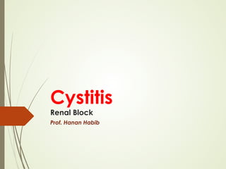 Cystitis
Renal Block
Prof. Hanan Habib
 