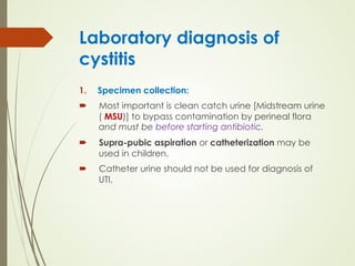 Cystitis-Medicine.pdf