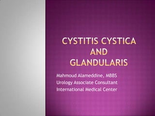 Mahmoud Alameddine, MBBS
Urology Associate Consultant
International Medical Center
 