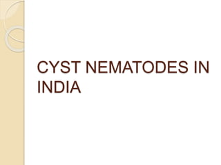 CYST NEMATODES IN
INDIA
 
