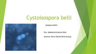 Cystoisospora belli
(isospora belli)
Dra. Adakatia Armenta Solis
Alumno: Kevin Daniel Brito Araujo
 