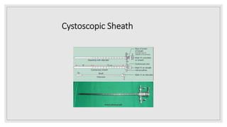 Cystoscope & Nephroscope - A brief review | PPTX