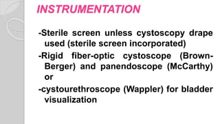Panendoscope Cystoscopy | PPTX