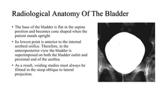 Radiological Anatomy Of The Bladder
• The base of the bladder is flat in the supine
position and becomes cone shaped when the
patient stands upright
• Its lowest point is anterior to the internal
urethral orifice. Therefore, in the
anteroposterior view the bladder is
superimposed on both the bladder outlet and
proximal end of the urethra.
• As a result, voiding studies must always be
filmed in the steep oblique to lateral
projection.
 