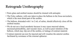 Retrograde Urethrography
• Penis glans and urethral meatus should be cleaned with antiseptic
• The Foley catheter, with care taken to place the balloon in the fossa navicularis,
which is the most distal part of the urethra.
• The balloon, distended with 1 to 2 mL of saline, should effectively close off the
urethral meatus.
• We do not use a local anesthetic because it may cause mucosal edema,
increased permeability, and vascular stasis, as well as poor retention of the
balloon, which may slip out of the urethra, or leakage of contrast material.
• Contrast material can now be injected and will visualize the anterior urethra
facilitated by resistance of the external sphincter.
 