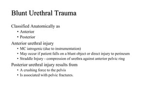 Blunt Urethral Trauma
Classified Anatomically as
• Anterior
• Posterior
Anterior urethral injury
• MC iatrogenic (due to instrumentation)
• May occur if patient falls on a blunt object or direct injury to perineum
• Straddle Injury - compression of urethra against anterior pelvic ring
Posterior urethral injury results from
• A crushing force to the pelvis
• Is associated with pelvic fractures.
 