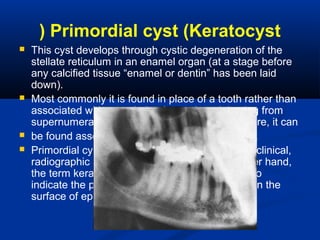 Primordial cyst (Keratocyst(
 This cyst develops through cystic degeneration of the
stellate reticulum in an enamel organ (at a stage before
any calcified tissue “enamel or dentin” has been laid
down).
 Most commonly it is found in place of a tooth rather than
associated with a tooth, but it may be originating from
supernumerary teeth. In such instances, therefore, it can
 be found associated with a tooth (Shafer, 1983).
 Primordial cyst is a clinical term which describe clinical,
radiographic and operative findings. On the other hand,
the term keratocyst is used by histopathologist to
indicate the presence of keratin or parakeratin on the
surface of epithelium
 