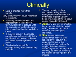 Clinically
 Male is affected more than
female.
Very rarely this cyst cause resorption
of the roots.
 Swelling, bone expansion and
displacement of the adjacent
teeth. Expansion is delayed until
the cortex is perforated, because
it tend to extend into the medullary
cavity.
 If the cyst occur in the maxilla,
considerable enlargement into the
maxillary sinus may occur before
noticeable jaw enlargement takes
place.
 The lesion is not painful
(asymptomatic) unless secondary
infected.
 The abnormality is often
discovered during routine
radiographic examination. No
numbness or parat Solitary
bone cyst. hesia of the lip occur
unless secondary infected
 Age: Any age can be affected,
but some specified the period
during the second and third
decades to have a peak
incidence.
 Site: Mandible is more
affected than maxilla. Most
lesions (50%) occur in the
angle and ramus of the
mandible and may extend for
varying distances into the
ascending ramus, but any other
site may be involved including
the midline and any part of the
maxilla.
 