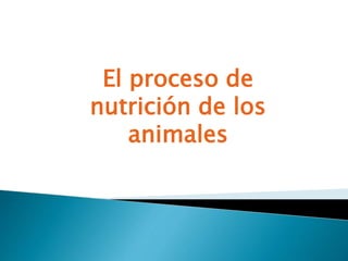 El proceso de
nutrición de los
animales
 