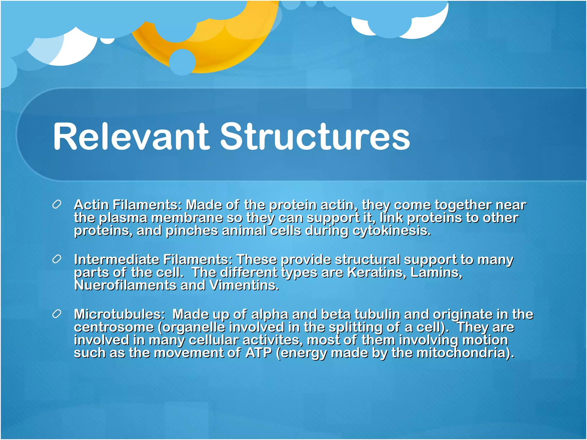 Cytoskeleton PPT Cytoskeleton ppt
