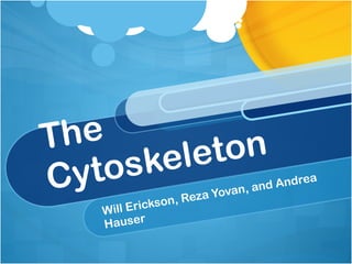 The Cytoskeleton Will Erickson, Reza Yovan, and Andrea Hauser 