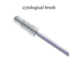 Cyto-pathology.pptx | Lung and Respiratory Health | Diseases and Conditions