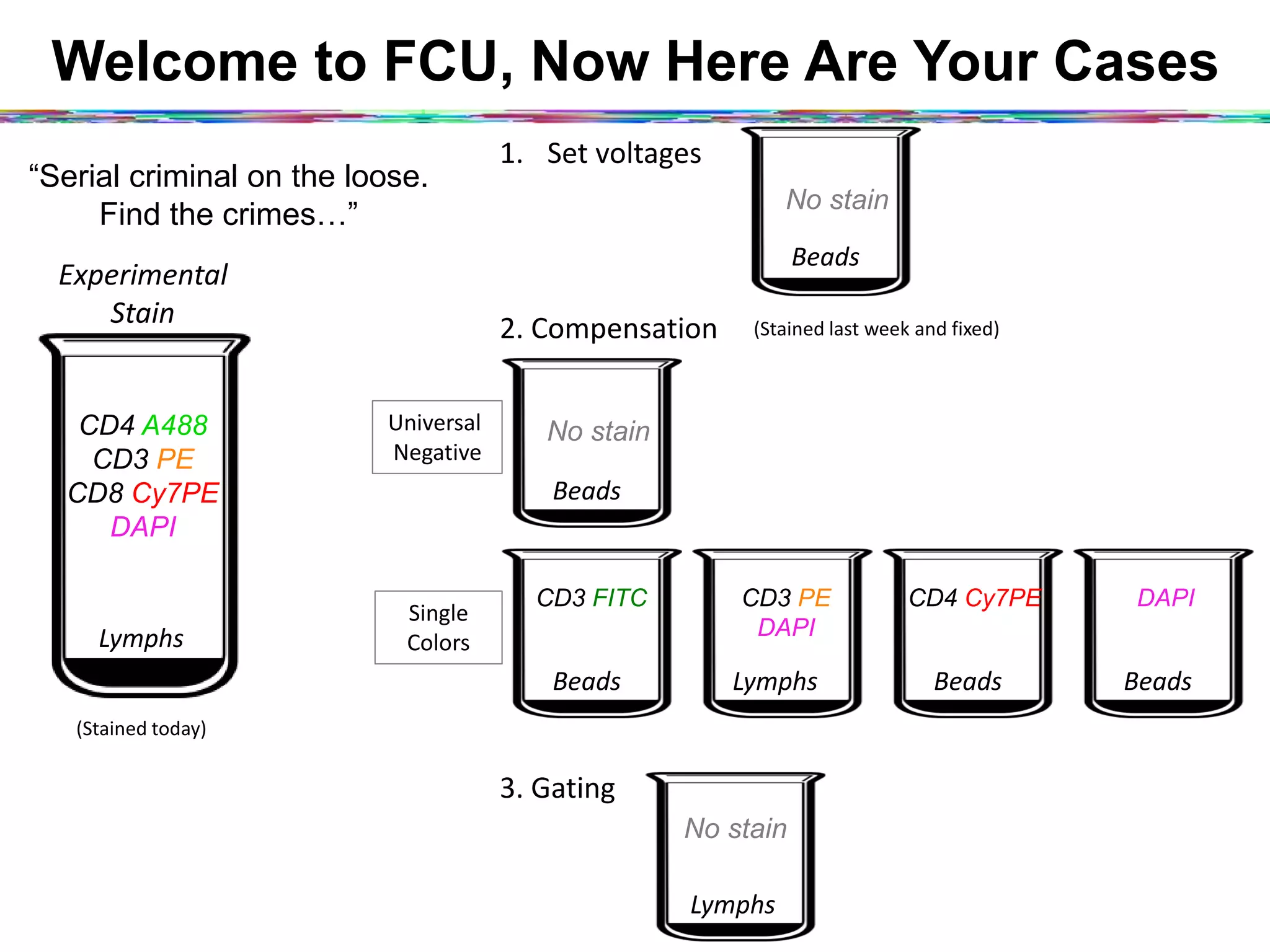 Welcome to FCU, Now Here Are Your Cases
“Serial criminal on the loose.
Find the crimes…”
Experimental	
  
Stain	
  
CD4 A488
CD3 PE
CD8 Cy7PE
DAPI
Lymphs	
  
(Stained	
  today)	
  
Beads	
  
No stain
1.  Set	
  voltages	
  
Beads	
  
CD3 FITC
Lymphs	
  
CD3 PE
DAPI
Beads	
  
CD4 Cy7PE
Beads	
  
DAPI
Single	
  	
  
Colors	
  
Universal	
  	
  
Nega2ve	
  
Beads	
  
No stain
(Stained	
  last	
  week	
  and	
  ﬁxed)	
  2.	
  Compensa2on	
  
Lymphs	
  
No stain
3.	
  Ga2ng	
  
 