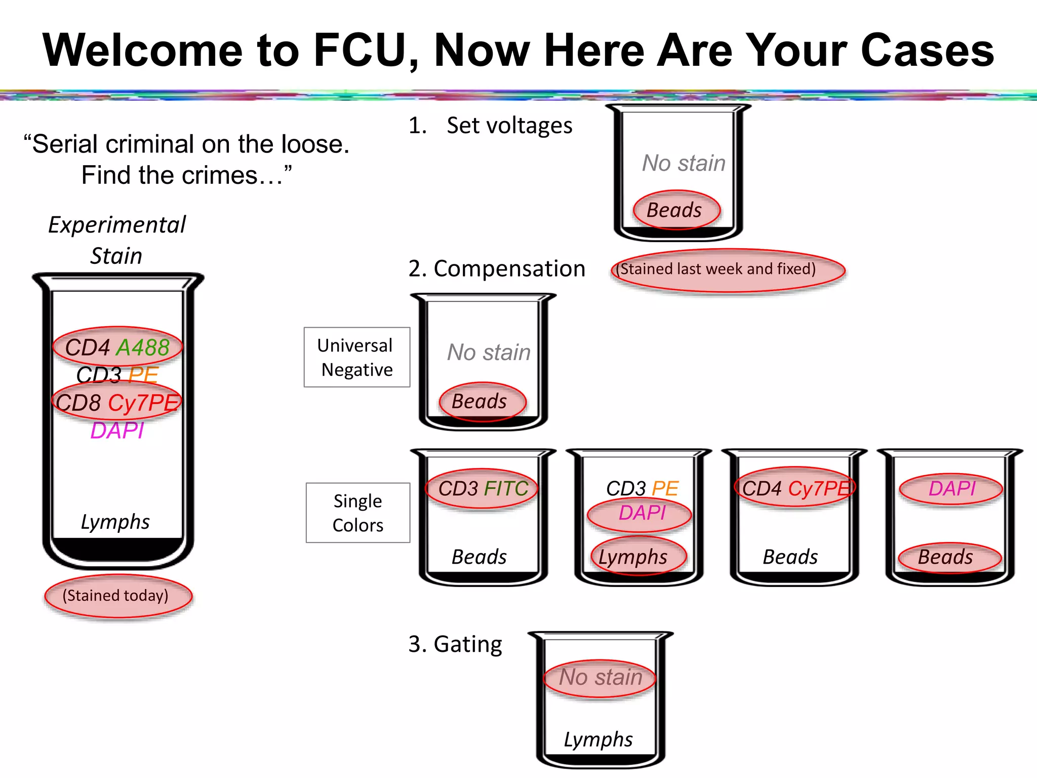 Welcome to FCU, Now Here Are Your Cases
“Serial criminal on the loose.
Find the crimes…”
Experimental	
  
Stain	
  
CD4 A488
CD3 PE
CD8 Cy7PE
DAPI
Lymphs	
  
(Stained	
  today)	
  
Beads	
  
No stain
1.  Set	
  voltages	
  
Beads	
  
CD3 FITC
Lymphs	
  
CD3 PE
DAPI
Beads	
  
CD4 Cy7PE
Beads	
  
DAPI
Single	
  	
  
Colors	
  
Universal	
  	
  
Nega2ve	
  
Beads	
  
No stain
(Stained	
  last	
  week	
  and	
  ﬁxed)	
  2.	
  Compensa2on	
  
Lymphs	
  
No stain
3.	
  Ga2ng	
  
 