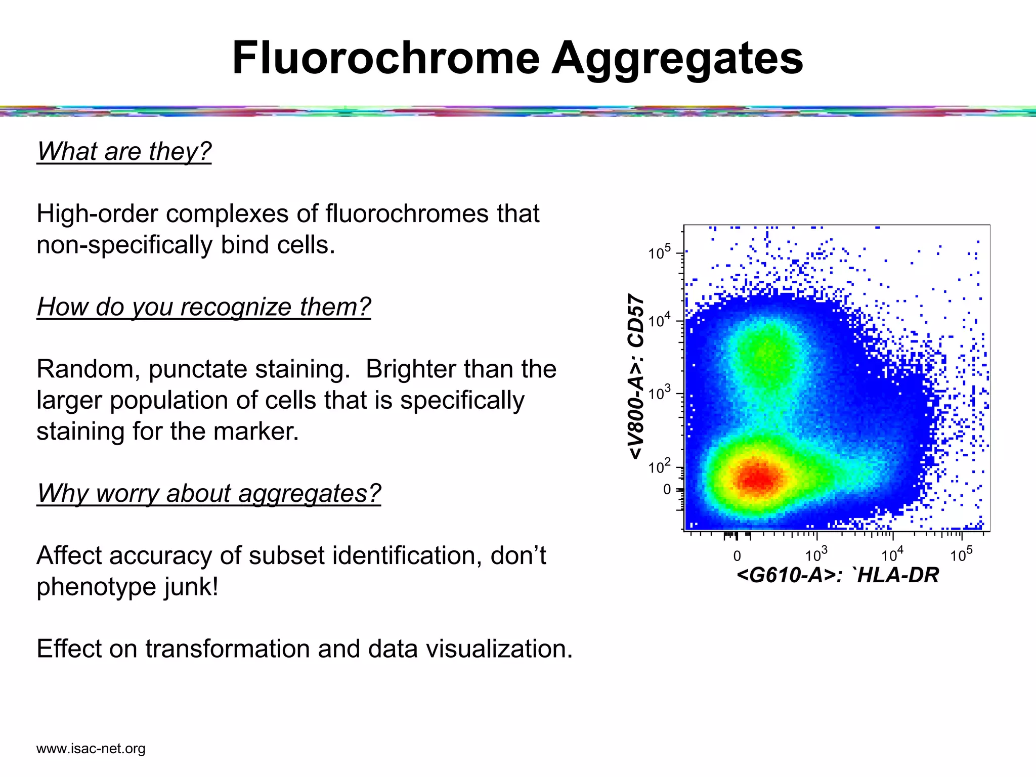 Fluorochrome Aggregates
www.isac-net.org
What are they?
High-order complexes of fluorochromes that
non-specifically bind cells.
How do you recognize them?
Random, punctate staining. Brighter than the
larger population of cells that is specifically
staining for the marker.
Why worry about aggregates?
Affect accuracy of subset identification, don’t
phenotype junk!
Effect on transformation and data visualization.
0 10
3
10
4
10
5
<G610-A>: `HLA-DR
0
10
2
10
3
10
4
10
5
<V800-A>:CD57
 