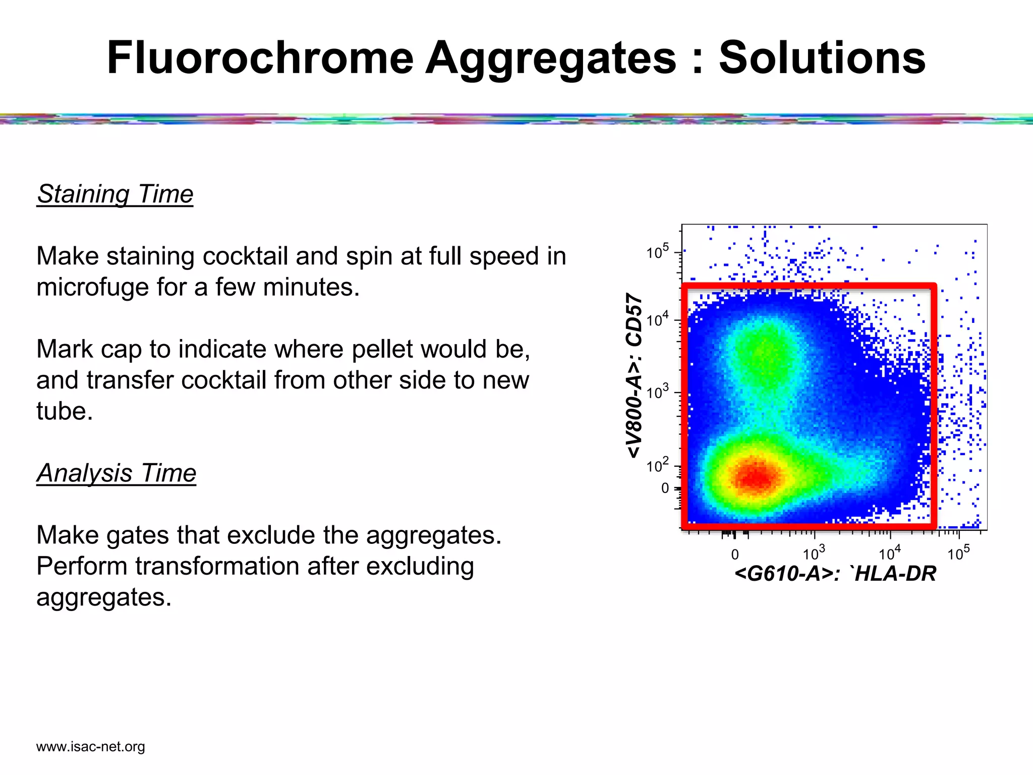 Fluorochrome Aggregates : Solutions
www.isac-net.org
Staining Time
Make staining cocktail and spin at full speed in
microfuge for a few minutes.
Mark cap to indicate where pellet would be,
and transfer cocktail from other side to new
tube.
Analysis Time
Make gates that exclude the aggregates.
Perform transformation after excluding
aggregates.
0 10
3
10
4
10
5
<G610-A>: `HLA-DR
0
10
2
10
3
10
4
10
5
<V800-A>:CD57
 