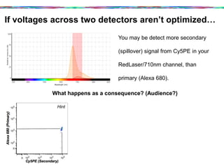 If voltages across two detectors aren’t optimized…	
  
You may be detect more secondary
(spillover) signal from Cy5PE in your
RedLaser/710nm channel, than
primary (Alexa 680).
What happens as a consequence? (Audience?)
0 10
2
10
3
10
4
10
5
Cy5PE (Secondary)
0
102
103
104
10
5
Alexa680(Primary)
Hint
 