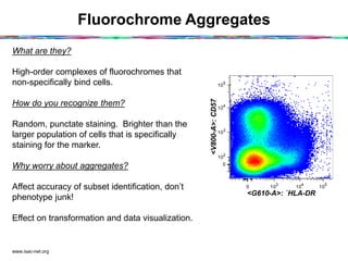 Fluorochrome Aggregates
www.isac-net.org
What are they?
High-order complexes of fluorochromes that
non-specifically bind cells.
How do you recognize them?
Random, punctate staining. Brighter than the
larger population of cells that is specifically
staining for the marker.
Why worry about aggregates?
Affect accuracy of subset identification, don’t
phenotype junk!
Effect on transformation and data visualization.
0 10
3
10
4
10
5
<G610-A>: `HLA-DR
0
10
2
10
3
10
4
10
5
<V800-A>:CD57
 