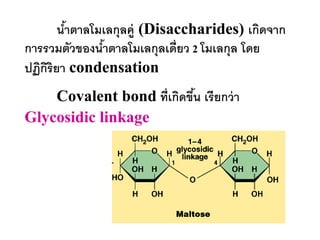 นาตาลโมเลกุลคู่ (Disaccharides) เกิดจาก
        ้
การรวมตัวของนาตาลโมเลกุลเดี่ยว 2 โมเลกุล โดย
              ้
ปฏิกริยา condensation
    ิ
    Covalent bond ที่เกิดขึน เรียกว่ า
                           ้
Glycosidic linkage
 