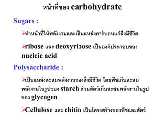 หน้ าที่ของ carbohydrate
Sugars :
   าหน้ าที่ให้ พลังงานและเป็ นแหล่ งคาร์ บอนแก่ ส่ งมีชีวต
   ท                                                 ิ     ิ
  ribose และ deoxyribose เป็ นองค์ ประกอบของ
  nucleic acid
Polysaccharide :
   นแหล่ งสะสมพลังงานของสิ่งมีชีวต โดยพืชเก็บสะสม
   เป็                             ิ
  พลังงานในรู ปของ starch ส่ วนสัตว์ เก็บสะสมพลังงานในรู ป
  ของ glycogen
  Cellulose และ chitin เป็ นโครงสร้ างของพืชและสัตว์
 