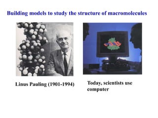 Building models to study the structure of macromolecules




   Linus Pauling (1901-1994)    Today, scientists use
                                computer
 