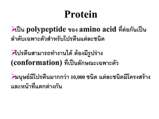 Protein
 น polypeptide ของ amino acid ที่ต่อกันเป็ น
 เป็
ลาดับเฉพาะตัวสาหรับโปรตีนแต่ ละชนิด
 นสามารถทางานได้ ต้ องมีรูปร่ าง
 โปรตี
(conformation) ที่เป็ นลักษณะเฉพาะตัว
 ษย์ มีโปรตีนมากกว่ า 10,000 ชนิด แต่ ละชนิดมีโครงสร้ าง
 มนุ
และหน้ าที่แตกต่ างกัน
 