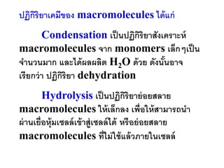 ปฏิกริยาเคมีของ macromolecules ได้ แก่
    ิ
        Condensation เป็ นปฏิกริยาสังเคราะห์
                               ิ
macromolecules จาก monomers เล็กๆเป็ น
จานวนมาก และได้ ผลผลิต H2O ด้ วย ดังนันอาจ
                                      ้
เรียกว่ า ปฏิกริยา dehydration
              ิ
         Hydrolysis เป็ นปฏิกริยาย่ อยสลาย
                                       ิ
macromolecules ให้ เล็กลง เพื่อให้ สามารถนา
ผ่ านเยื่อหุ้มเซลล์ เข้ าสู่เซลล์ ได้ หรือย่ อยสลาย
macromolecules ที่ไม่ ใช้ แล้ วภายในเซลล์
 