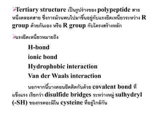 Tertiary structure เป็ นรู ปร่ างของ polypeptide สาย
หนึ่งตลอดสาย ซึ่งการม้ วนพบไปมาขึนอยู่กับแรงยึดเหนี่ยวระหว่ าง R
                                 ้
group ด้ วยกันเอง หรื อ R group กับโครงสร้ างหลัก
 ดเหนี่ยวหมายถึง
 แรงยึ
       H-bond
       ionic bond
       Hydrophobic interaction
       Van der Waals interaction
       นอกจากนีบางตอนยึดติดกันด้ วย covalent bond ที่
                    ้
แข็งแรง เรี ยกว่ า disulfide bridges ระหว่ างหมู่ sulhydryl
(-SH) ของกรดอะมิโน cysteine ที่อยู่ใกล้ กัน
 
