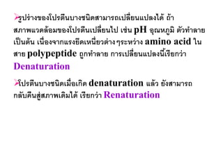  ปร่ างของโปรตีนบางชนิดสามารถเปลี่ยนแปลงได้ ถ้ า
  รู
สภาพแวดล้ อมของโปรตีนเปลี่ยนไป เช่ น pH อุณหภูมิ ตัวทาลาย
เป็ นต้ น เนื่องจากแรงยึดเหนี่ยวต่ างๆระหว่ าง amino acid ใน
สาย polypeptide ถูกทาลาย การเปลี่ยนแปลงนีเ้ รี ยกว่ า
Denaturation
 นบางชนิดเมื่อเกิด denaturation แล้ ว ยังสามารถ
 โปรตี
กลับคืนสู่สภาพเดิมได้ เรี ยกว่ า Renaturation
 