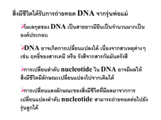 สิ่งมีชีวตได้ รับการถ่ ายทอด DNA จากรุ่ นพ่ อแม่
         ิ
   โมเลกุลของ DNA เป็ นสายยาวมียีนเป็ นจานวนมากเป็ น
   องค์ ประกอบ
    DNA อาจเกิดการเปลี่ยนแปลงได้ เนื่องจากสาเหตุต่างๆ
   เช่ น ฤทธิ์ของสารเคมี หรื อ รั งสีจากสารกัมมันตรั งสี
     การเปลี่ยนลาดับ nucleotide ใน DNA อาจมีผลให้
   สิ่งมีชีวตมีลักษณะเปลี่ยนแปลงไปจากเดิมได้
            ิ
      การเปลี่ยนแลงลักษณะของสิ่งมีชีวตที่มีผลมาจากการ
                                      ิ
   เปลี่ยนแปลงลาดับ nucleotide สามารถถ่ ายทอดต่ อไปยัง
   รุ่ นลูกได้
 