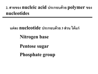 2. สายของ nucleic acid ประกอบด้ วย polymer ของ
nucleotides

  แต่ ละ nucleotide ประกอบด้ วย 3 ส่ วน ได้ แก่
        Nitrogen base
        Pentose sugar
        Phosphate group
 