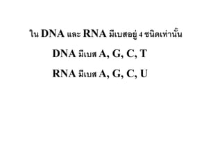 ใน DNA และ RNA มีเบสอยู่ 4 ชนิดเท่ านัน
                                      ้
     DNA มีเบส A, G, C, T
     RNA มีเบส A, G, C, U
 